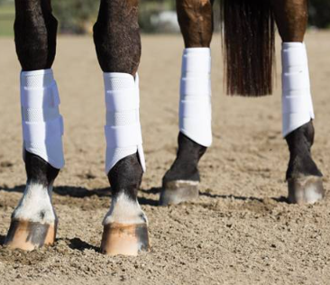 Pro Performance XC REAR Boot