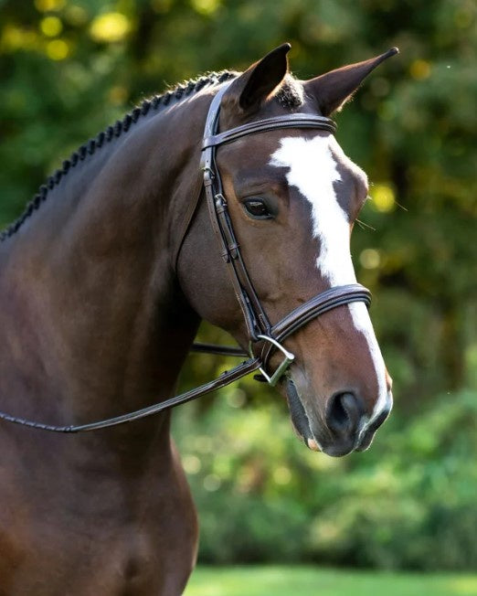 X-Line Santander Hunter Bridle COB