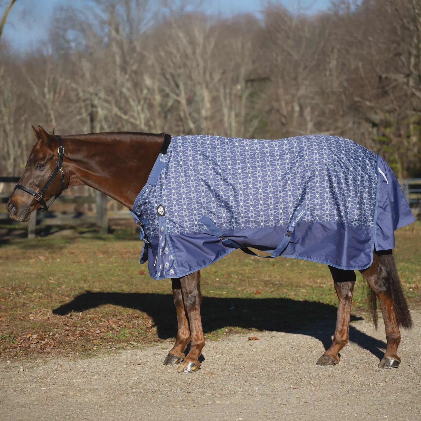 Equinavia Arktis with Neck Light Weight Turnout Blanket 100g