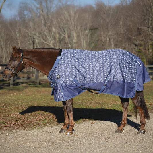 Equinavia Arktis with Neck Light Weight Turnout Blanket 100g