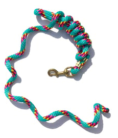 Rainbow lead rope 9'