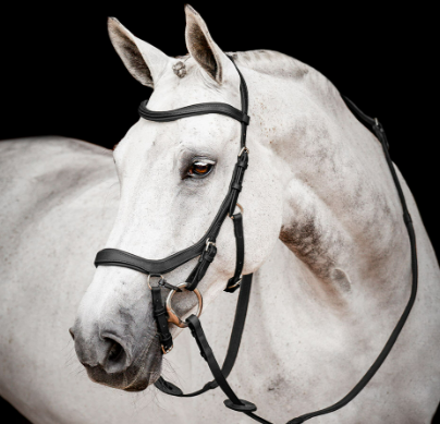 Micklem 2 Competition Bridle with Reins