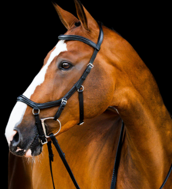 Micklem 2 Deluxe Competition Bridle with Reins