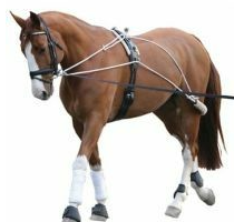 Lunging System One Size