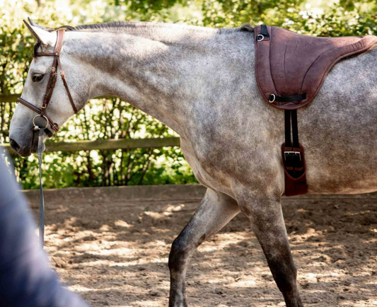 Bareback Pad (Girth not included)