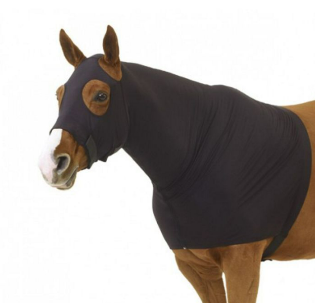 Stretch Lycra Full Zip Hood