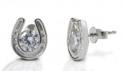 Sterling Silver Horseshoe Earrings