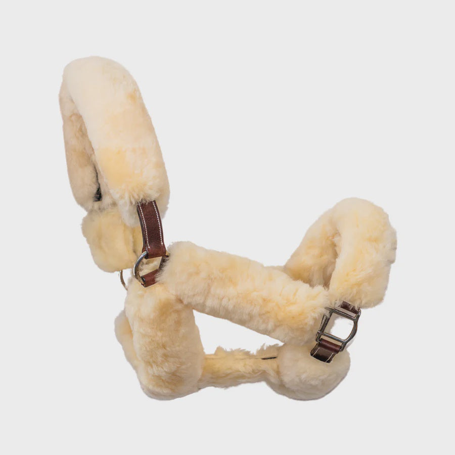 CommonWealth Whistler Shipping Halter