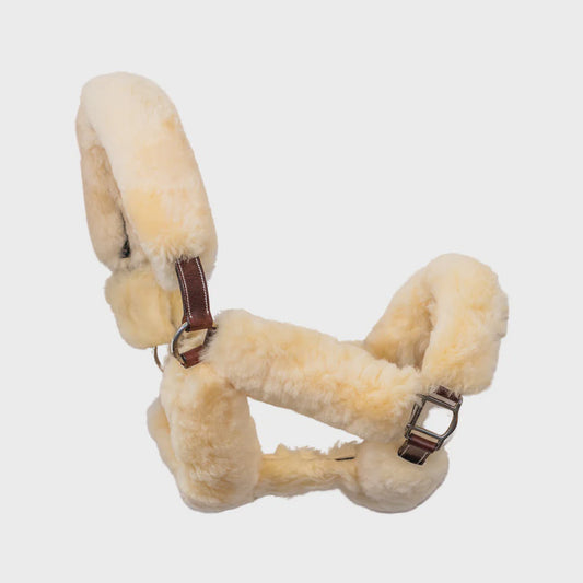 CommonWealth Whistler Shipping Halter