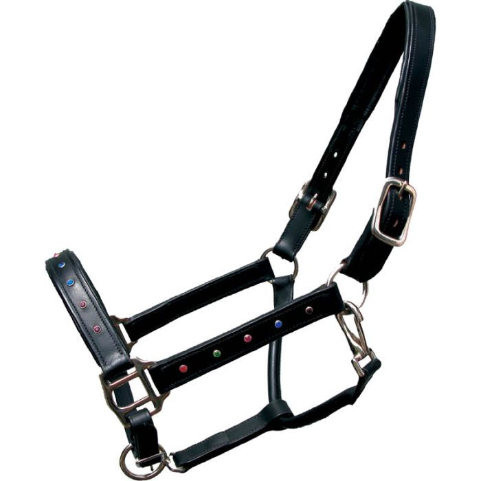 Multi Colour Crystal Leather Halter