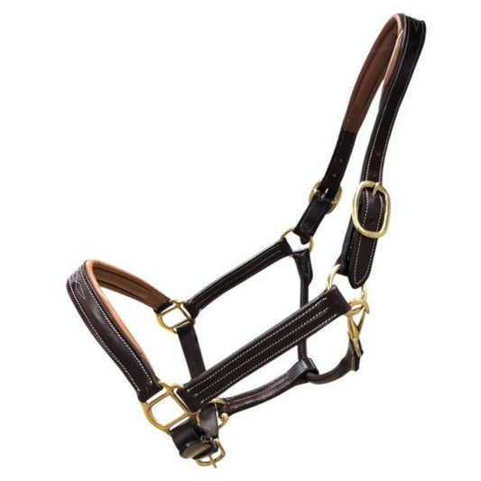 Leather Dual Tone Softy Halter