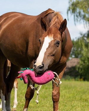 Horse Toy