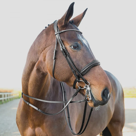 Horze Vienne Weymouth Double Bridle