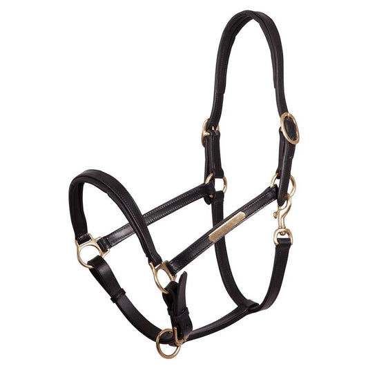 Premiere Leather Foal Halter