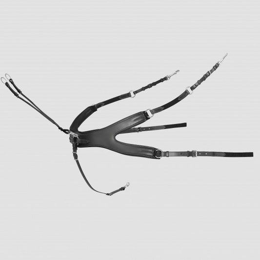 Passier Auriga 5 Point Breastplate