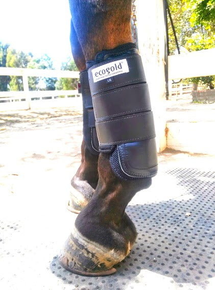 Ecogold Eventing Boot