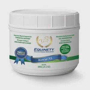 Equinety Horse XL