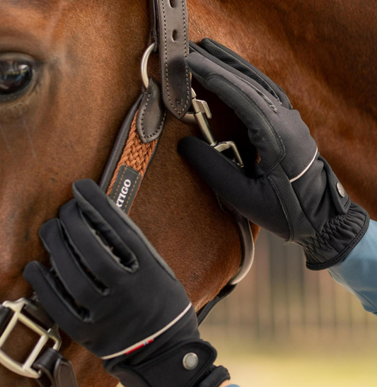 Rahel Thinsulate Winter Riding Gloves