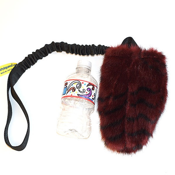 Water Bottle Dog Toy