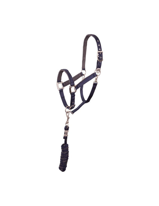 Anky Halter and Lead