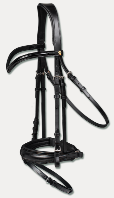 Black Shine Bridle