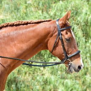 Bobby's Tack Eventer Heavy Duty Padded Bridle