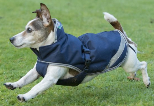 Bucas Freedom Dog Coat