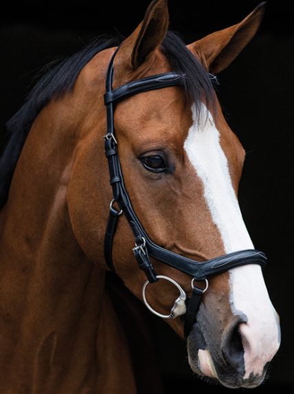 Rambo Micklem Deluxe Competition Bridle