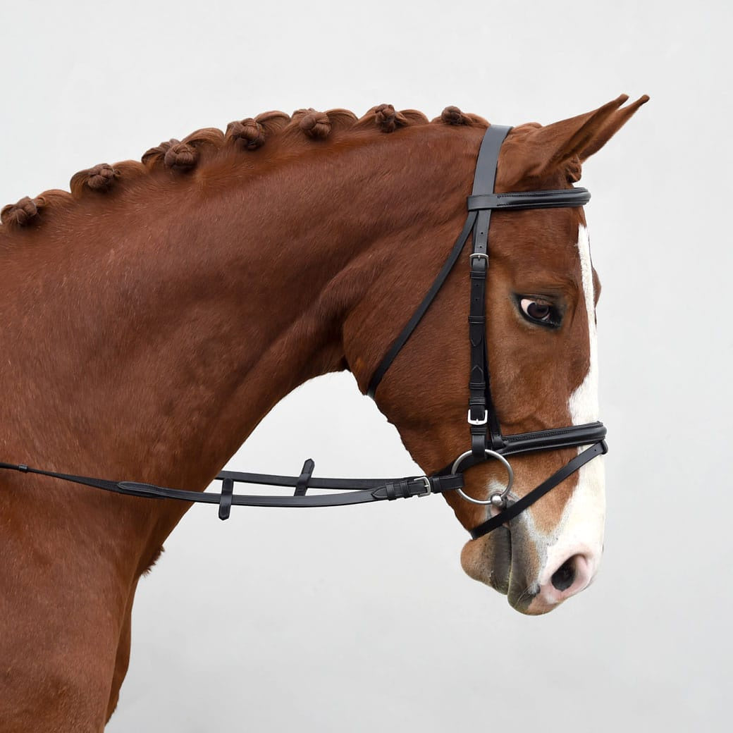 Bobby's Plain Raised Snaffle Bridle