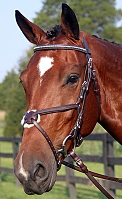 Nunn Finer Figure 8 Bridle