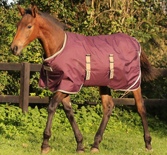 Amigo Foal Blanket 200g