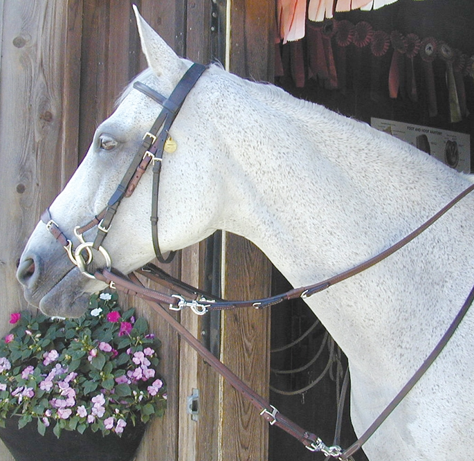 Leather German Martingale