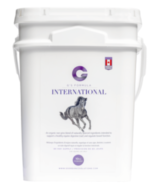 G's Formula International