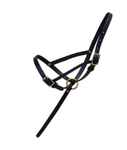 Foal Halter with grab strap-Leather