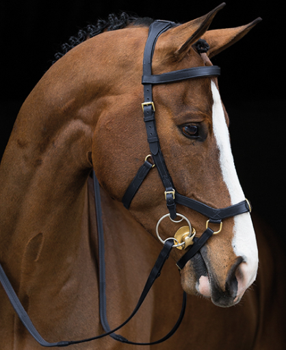 Rambo Micklem Multi Professional Bridle