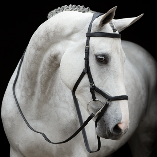 Rambo Micklem Original Competition Bridle