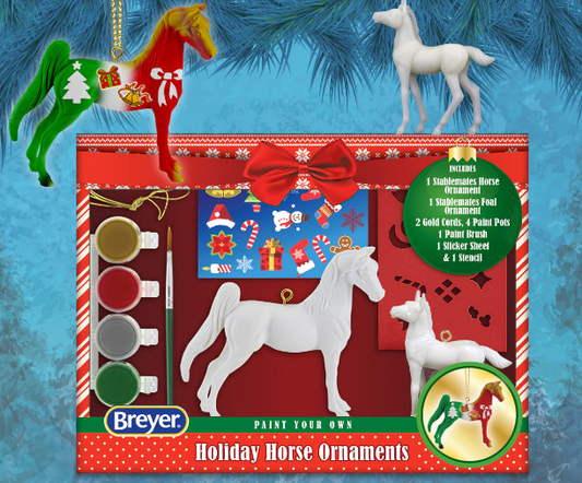 Paint your own Ornament Kit