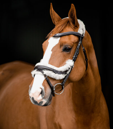 Rome Anatomical Snaffle Bridle