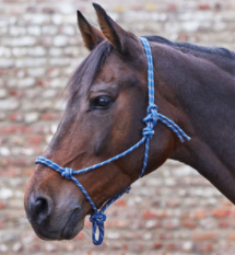 Rope Halter