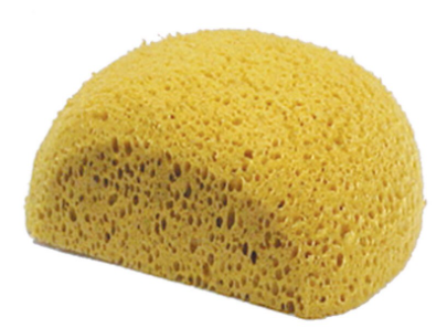 Turtle Back Body Sponge