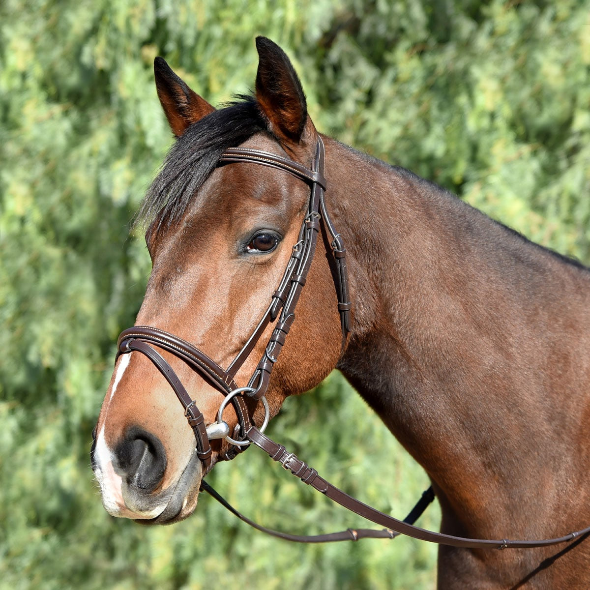 Bobby's Tack Monocrown Padded Flash Bridle