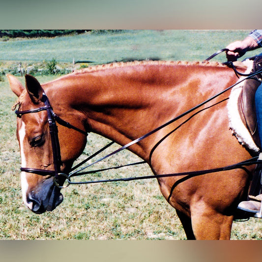 Tory Leather Draw Reins