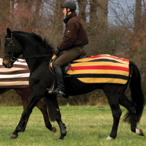 Rambo Fleece Competition Quarter Sheet